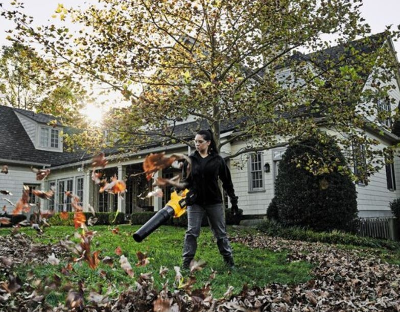 DeWalt 60V MAX* FLEXVOLT® Brushless Handheld Axial Blower - Image 3