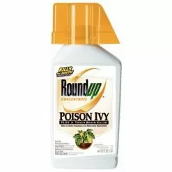 Scotts RoundUp Brush Killer Concentrate, 1-Qt.