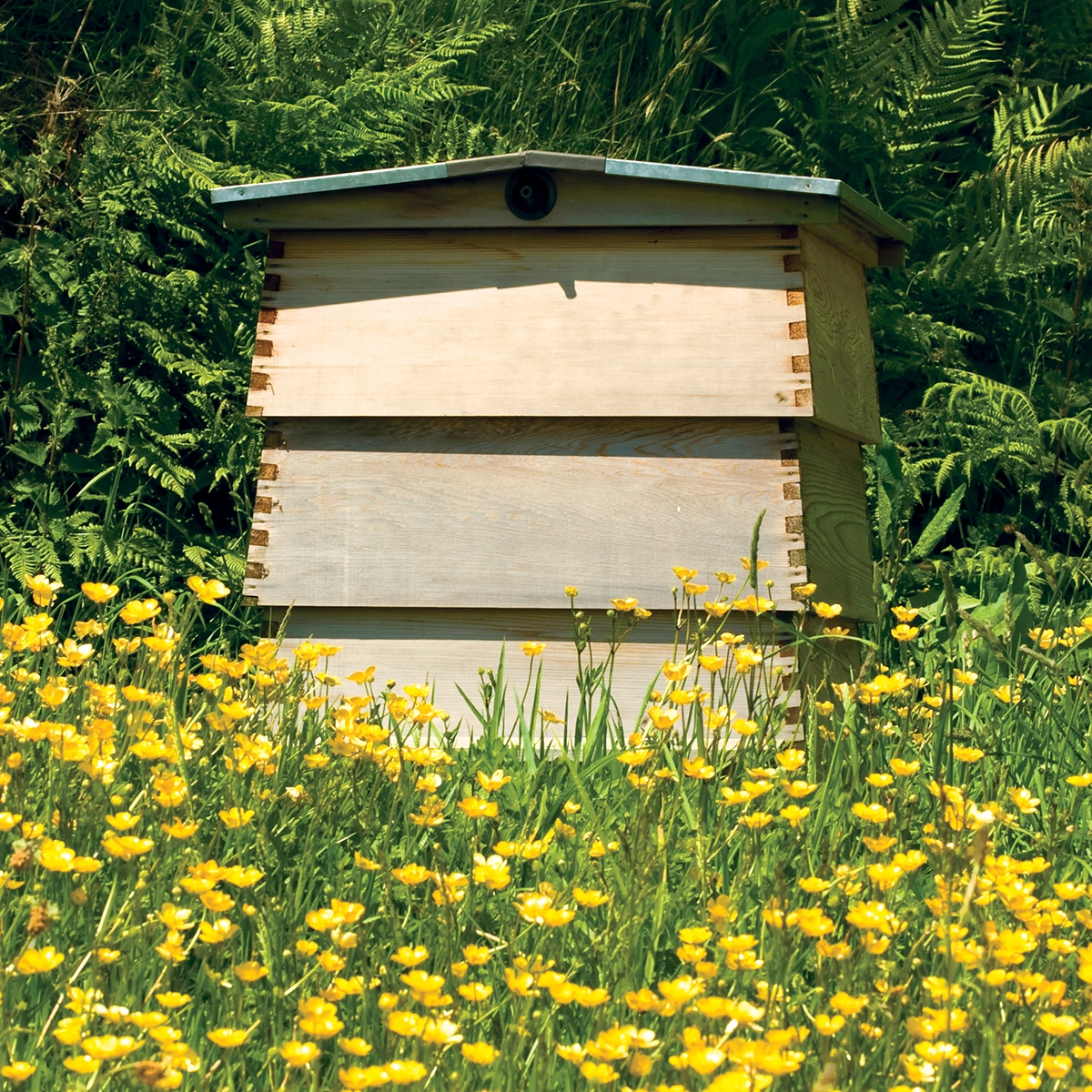 Garden Craft 24" x 5' Galvanized Hardware Cloth Fence, 1/8" Square - Image 5