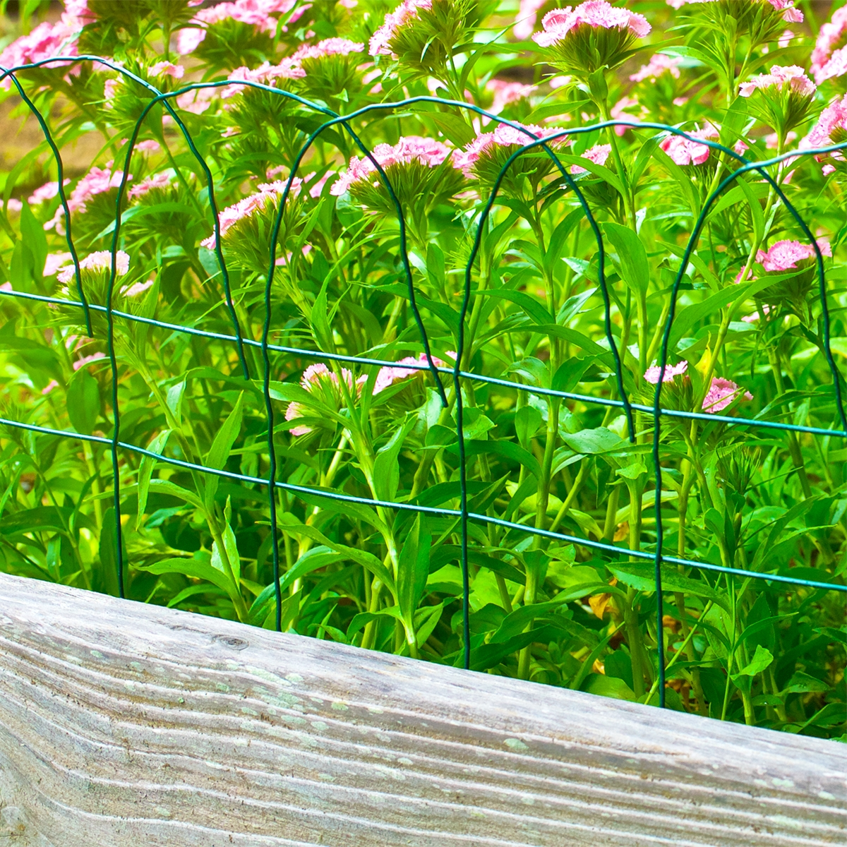 Origin Point Garden Craft 14" x 20' Scroll Top Rolled Garden Border - Image 7