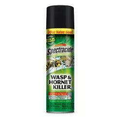 Spectracide Wasp & Hornet Insect Killer Aerosol, 20 oz.