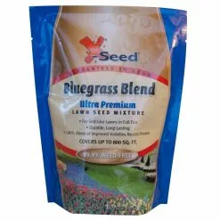 X-Seed Bluegrass Grass Blend - 1 lb