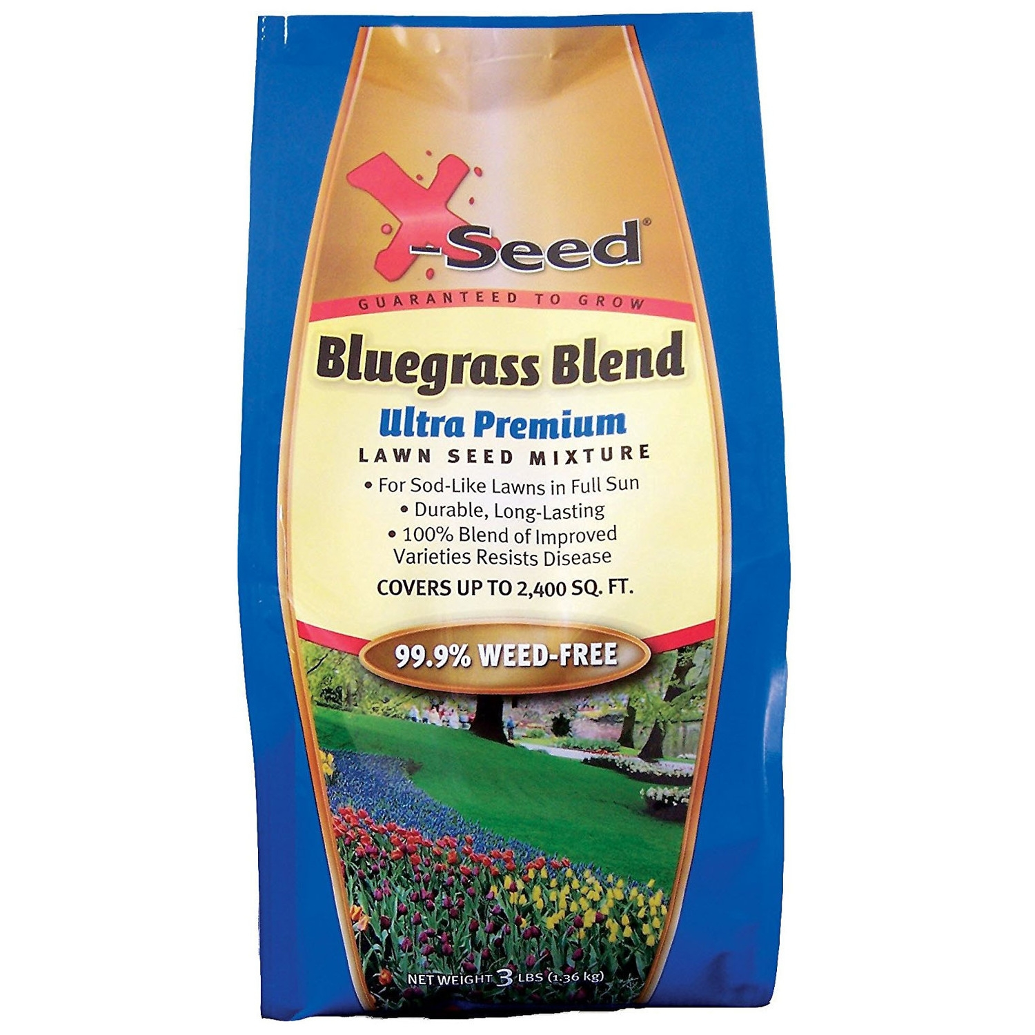 X-Seed 3lb Bluegrass Grass Blend