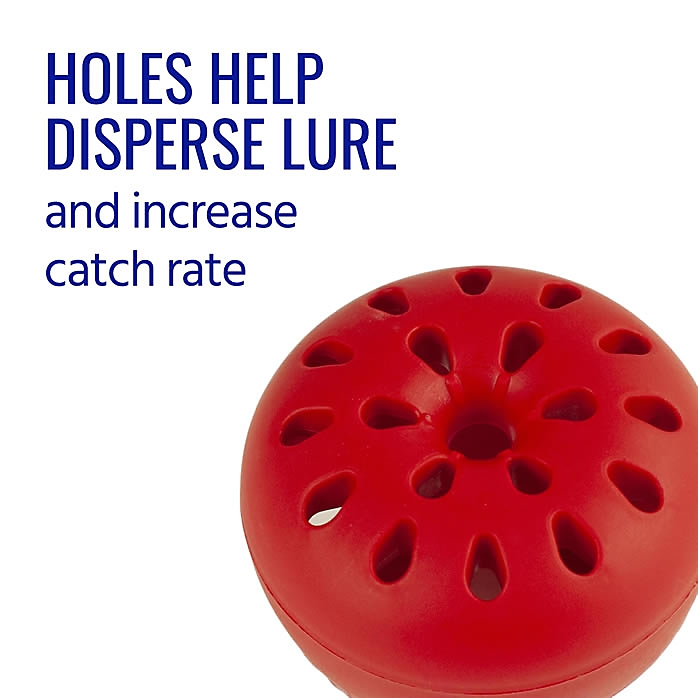 Terro Fruit Fly Trap - 2 Pack - Image 6