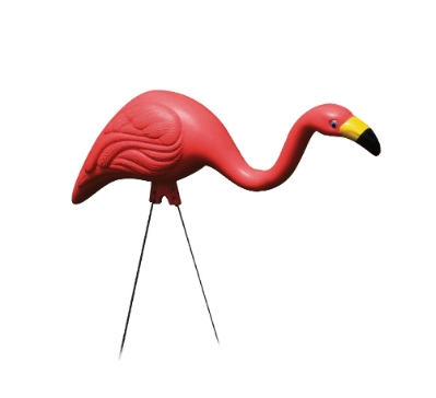 Bloem Flamingo Merica 3 Pack - Image 4