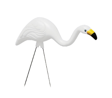 Bloem Flamingo Merica 3 Pack - Image 3