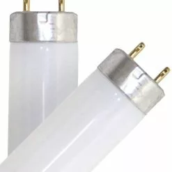 Sylvania Fluorescent Light Bulb, 2-Pack