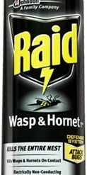 Raid Wasp & Hornet Killer 17.5oz
