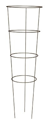 Glamos Galvanized 42" Plant Support