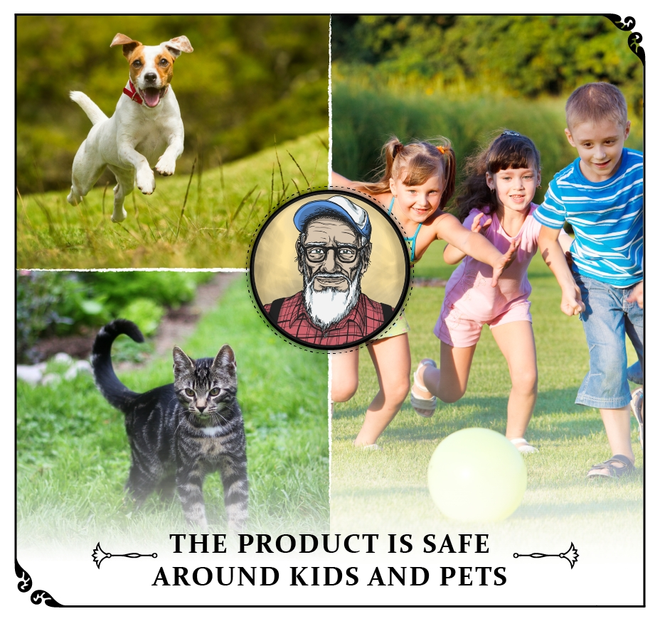 Grandpa Gus's 4 Pack Mouse Repellent - Image 3