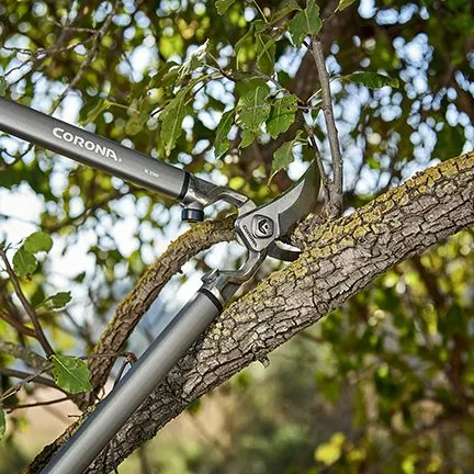 Corona ClassicCUT Bypass Lopper - 31 Inch - Image 7