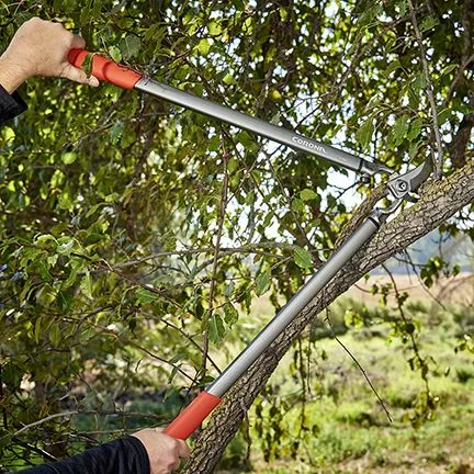Corona ClassicCUT Bypass Lopper - 31 Inch - Image 8