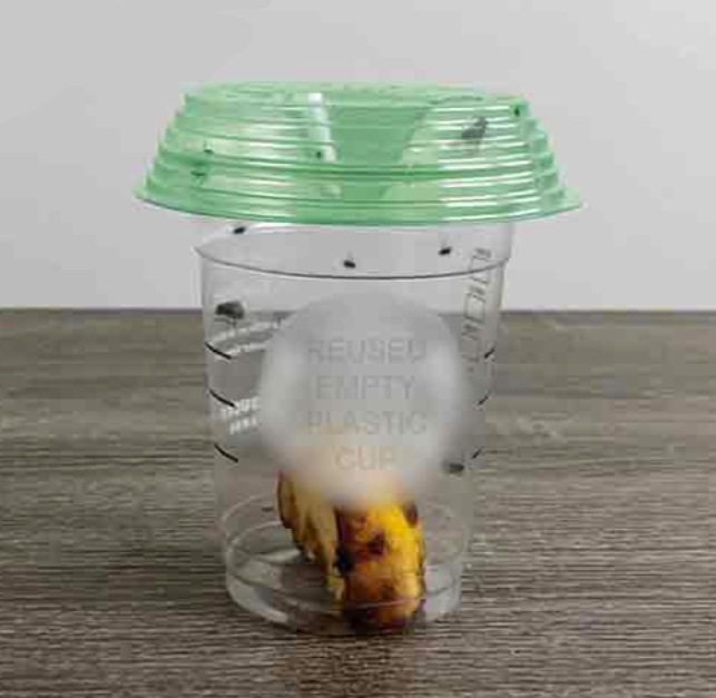 Fly-Lid Turn Almost Any Cup Into A Fly Trap (2-Pack) - Image 2