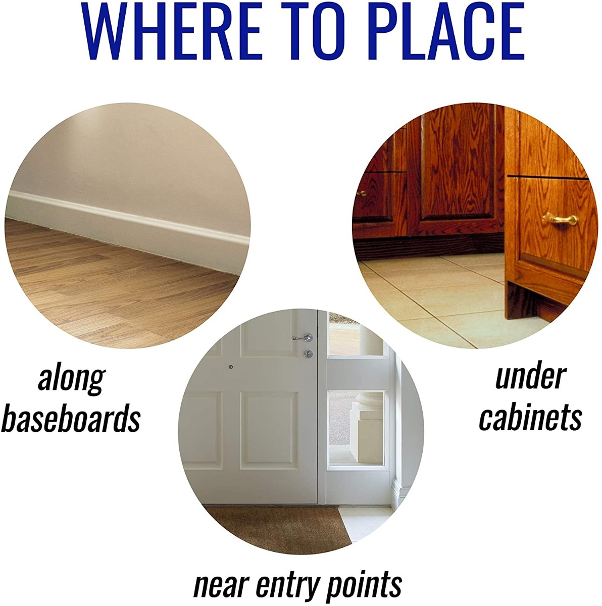 Terro Liquid Ant Killer II, 1 oz, Pack of 1 - Image 6