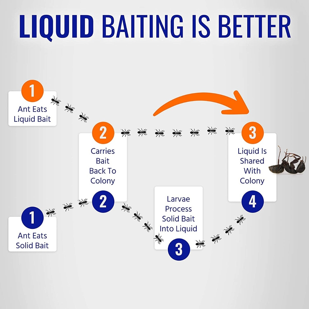 Terro Liquid Ant Killer II, 1 oz, Pack of 1 - Image 8