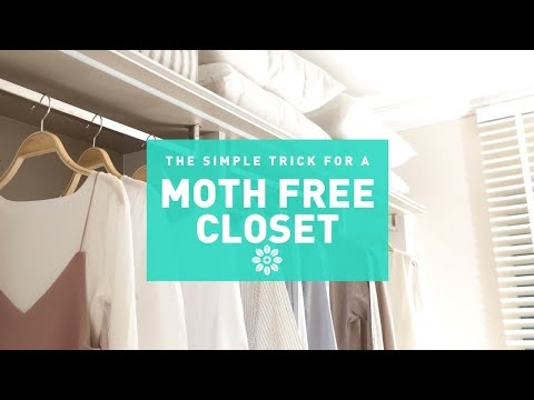 Earthkind Stay Away® Moths - Deterrent - Image 2