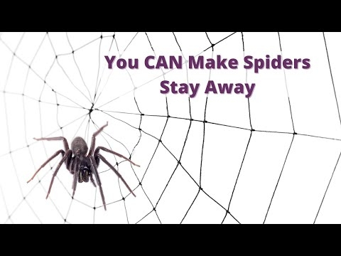 Earthkind Stay Away® Spiders - Deterrent - Image 2