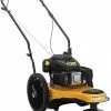 Cub Cadet ST 100 22" Wheeled String Trimmer